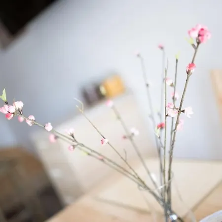 Daire Duplex Apartma Nikolina *