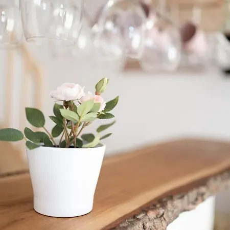 Duplex Apartma Nikolina *