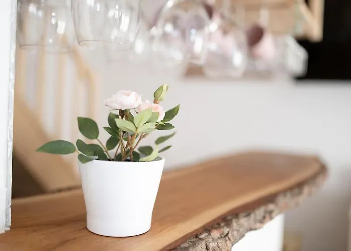 Duplex Apartma Nikolina *